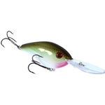 Copper Nose Shad