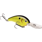 Black Back Chartreuse