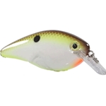 Turtle Shad