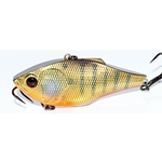 Golden Gill