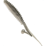 Threadfin Shad
