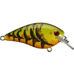 Green Pumpkin Craw