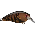 Brown Craw