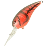 Red Bug
