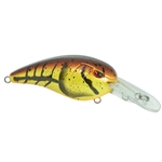 Molting Craw