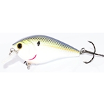 Chartreuse Threadfin Shad