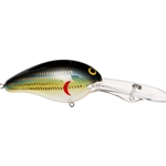 Tennesse Shad