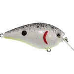 Pearl Splatterback Chartreuse Belly