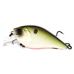 Shad Craft