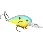 Powder Blue Back Chartruese