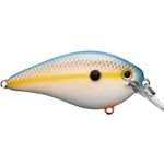 Sunrise Sexy Shad