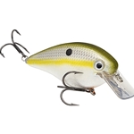 Olive Shad