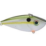 Olive Shad