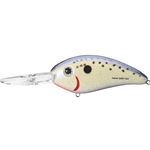 Speckled Perch