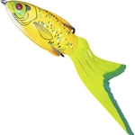Chartreuse Gill
