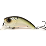 Shad Craft