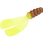 Pumpkinseed Chartreuse