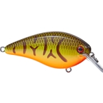 Orange Belly Craw