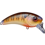 Cajun Gill