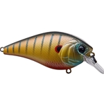 Spring Bluegill