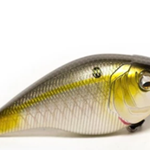 Shad Fantasy