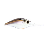 Gizzard Shad