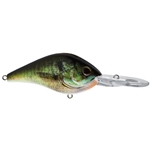 HD Bluegill