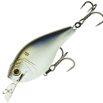 4K Shad