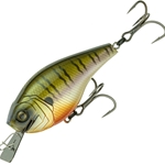 4K Bluegill