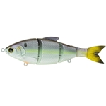 Wild Shad