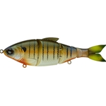 Cajun Gill