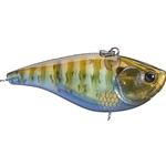 Rusty Bream