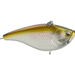 Epic Shad