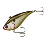 Gold Shiner