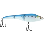 American Shad