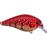 Crimson Craw