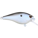 Blue Shad