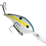 Sexy Shad