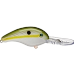 Olive Shad