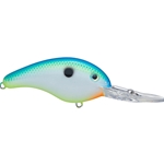 Citrus Shad