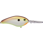 Turtle Shad