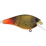 Firetail Green Craw