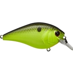 Chartreuse Black Back