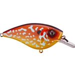 Pumpkinseed Sunfish