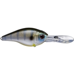 Tilapia