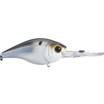 Threadfin Shad