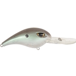 Green Gizzard Shad