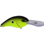 Chartreuse Black Back