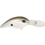Pearl Grey Shiner
