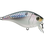 Shad Scales